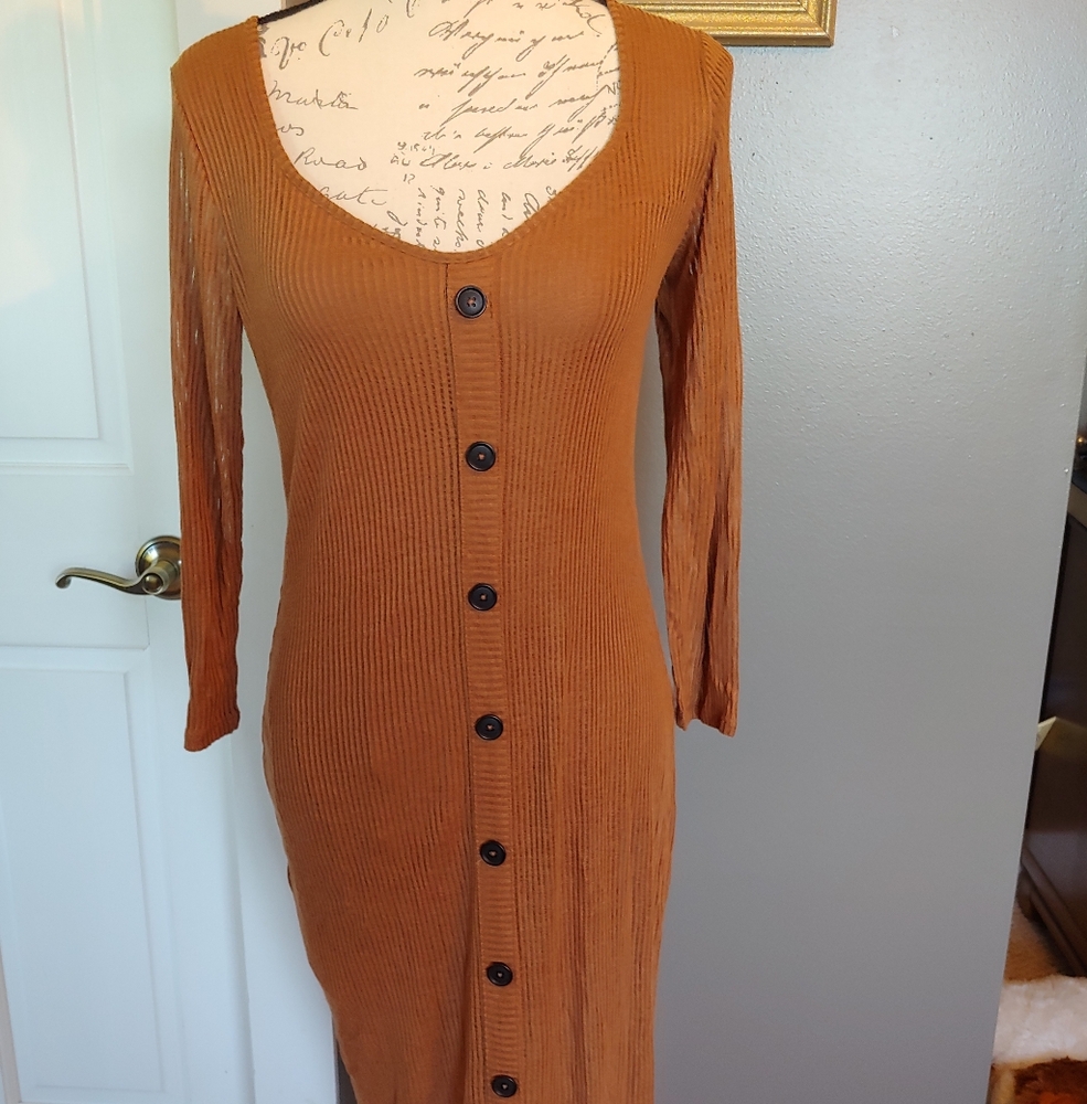 Express Cappuccino Long Sleeve Button-Down Dress
